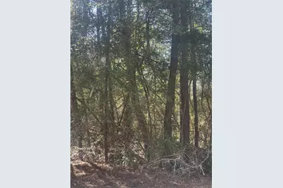 Lot 67/68 Wildwood Harbor, Onalaska, TX 77360 - Photo 4