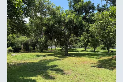 220 Allen Road, Oyster Creek, TX 77541 - Photo 4