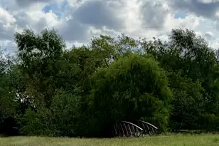 12421 Roy Rd, Brookside, TX 77581 - Photo 6
