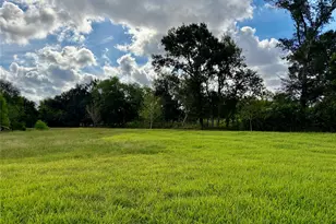12421 Roy Rd, Brookside, TX 77581 - Photo 2