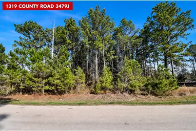 1319 County Road 3479J, Cleveland, TX 77327 - Photo 2