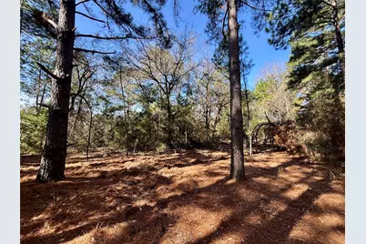 Tbd Cr 300, Oakwood, TX 75855 - Photo 30