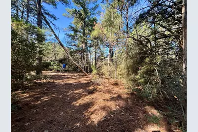 Tbd Cr 300, Oakwood, TX 75855 - Photo 20