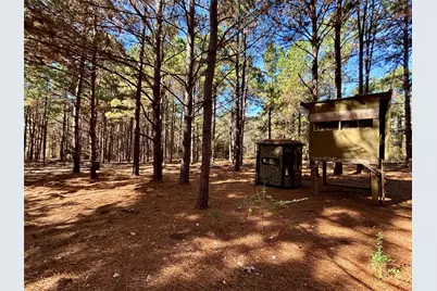 Tbd Cr 300, Oakwood, TX 75855 - Photo 12