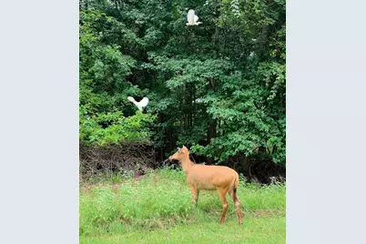 9033 Safari Shores Drive, LaRue, TX 75770 - Photo 36