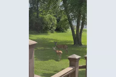 9033 Safari Shores Drive, LaRue, TX 75770 - Photo 22