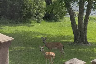 9033 Safari Shores Drive, LaRue, TX 75770 - Photo 22