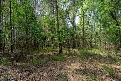 6866 Pennsylvania Avenue, Montgomery, TX 77316 - Photo 14