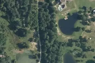 8071 Stacy Diane Dr, Montgomery, TX 77316 - Photo 2