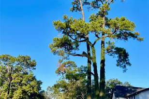 6674 Sylvan Rd, Houston, TX 77023 - Photo 2