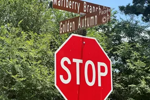 191 Golden Autumn Pl, The Woodlands, TX 77384 - Photo 20