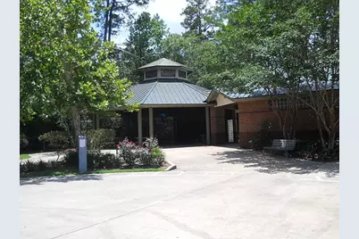 26 Prairie Oak Trail, The Woodlands, TX 77385 - Photo 16
