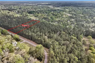 Tbd- Tr1 Cedar Lane Loop, Willis, TX 77378 - Photo 2