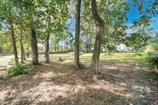 14770 Ashley Ln, Splendora, TX 77372 - Photo 2