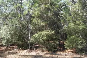 0 Dagger Dr, Brookeland, TX 75931 - Photo 2