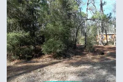 0 Dagger Drive, Brookeland, TX 75931 - Photo 4