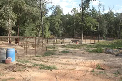 12240 High Fire Road, Montgomery, TX 77356 - Photo 14
