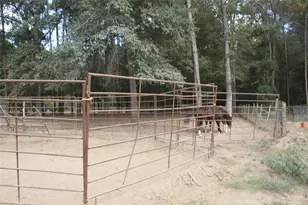 12240 High Fire Rd, Montgomery, TX 77356 - Photo 6