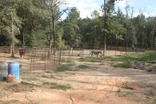 12240 High Fire Rd, Montgomery, TX 77356 - Photo 16