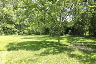 110B S Beatty Ave, Livingston, TX 77351 - Photo 2