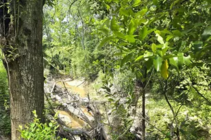 110B S Beatty Ave, Livingston, TX 77351 - Photo 4