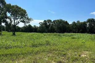 612 Worsham St, Montgomery, TX 77316 - Photo 4