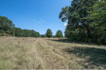 Tbd County Road 320, Centerville, TX 75833 - Photo 2