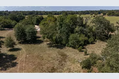 Tbd County Road 320, Centerville, TX 75833 - Photo 8