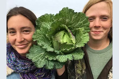 410 Apple Core Way, Richmond, TX 77406 - Photo 18