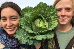 410 Apple Core Wy, Richmond, TX 77406 - Photo 18