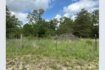 0000 County Road 133, Giddings, TX 78942 - Photo 6