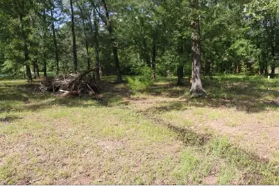 235 Panther Lane, Livingston, TX 77351 - Photo 4