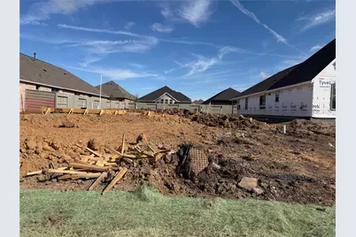 2435 Honeyberry Shrub Drive, Manvel, TX 77578 - Photo 4