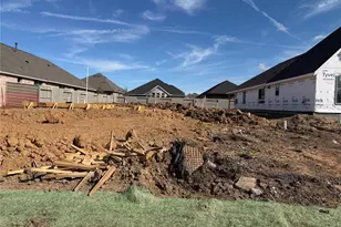 2435 Honeyberry Shrub Dr, Manvel, TX 77578 - Photo 4