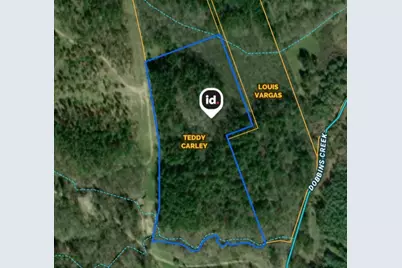 00 Wilderness Road, Point Blank, TX 77364 - Photo 2