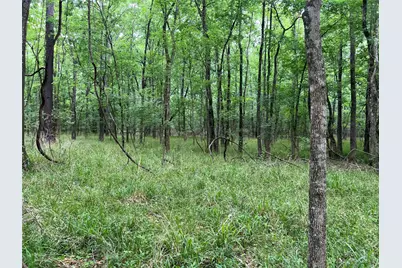 00 Wilderness Road, Point Blank, TX 77364 - Photo 16