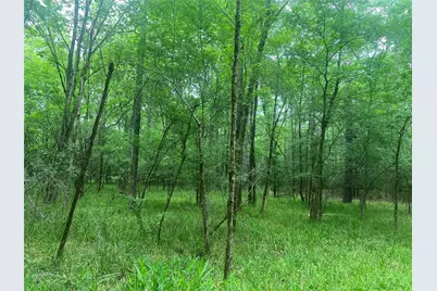 00 Wilderness Road, Point Blank, TX 77364 - Photo 4