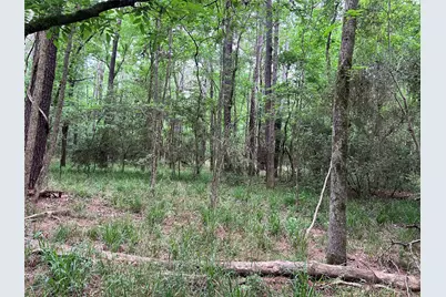 00 Wilderness Road, Point Blank, TX 77364 - Photo 10