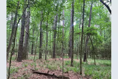 00 Wilderness Road, Point Blank, TX 77364 - Photo 1