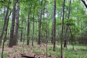 00 Wilderness Rd, Point Blank, TX 77364 - Photo 1