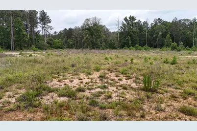 Tbd E Fm 1943 N, Fred, TX 77616 - Photo 12
