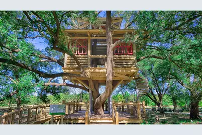 10703 Monarch Butterfly Drive, Cypress, TX 77433 - Photo 6