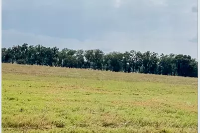 0046 Fm 2548 E, Midway, TX 75852 - Photo 8