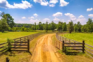 375 Co Rd 3560, Woodville, TX 75979 - Photo 24