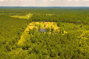 375 Co Rd 3560, Woodville, TX 75979 - Photo 32