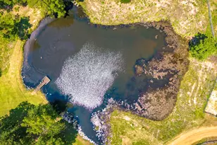 375 Co Rd 3560, Woodville, TX 75979 - Photo 28