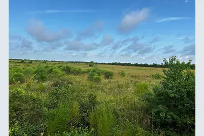 0 Katy Hockley Road, Katy, TX 77493 - Photo 8