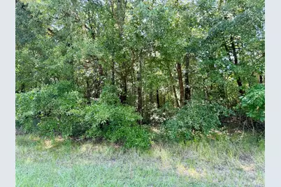 Tbd Underwood, Livingston, TX 77351 - Photo 1