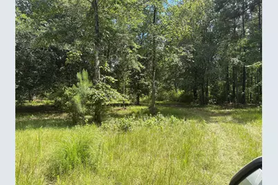3133 County Road 4525, Warren, TX 77664 - Photo 2