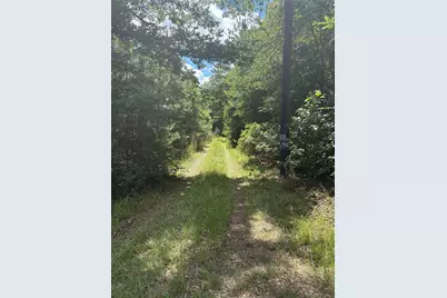 3133 County Road 4525, Warren, TX 77664 - Photo 4